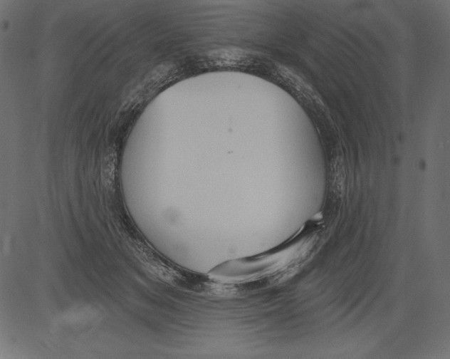 X0000081380509200702020233