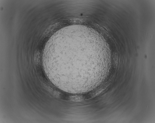 X0000081380511200702020233