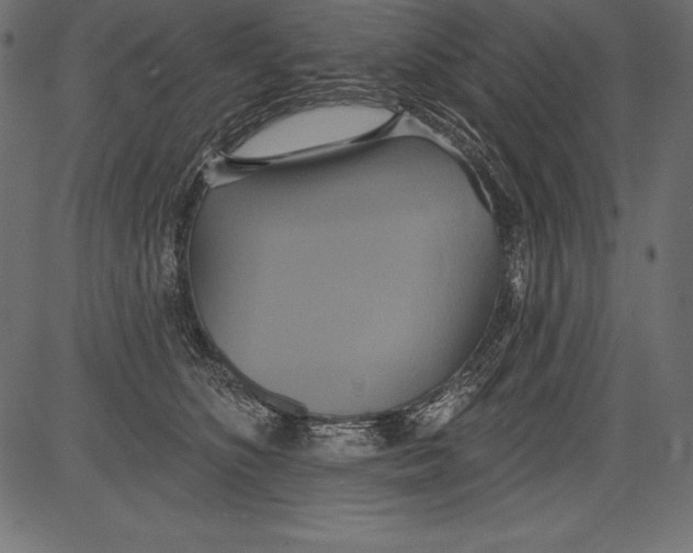 X0000081380516200702020233