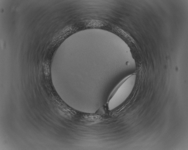 X0000081380517200702020233