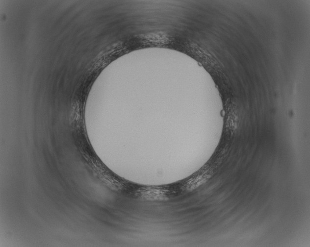 X0000081380518200702020233