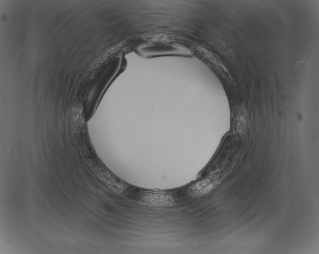 X0000081380521200702020233