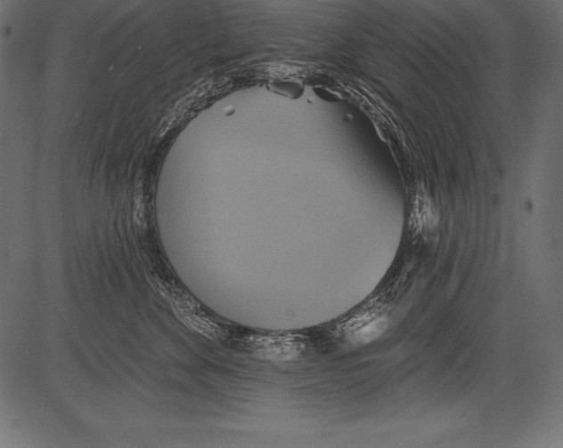 X0000081380524200702020233