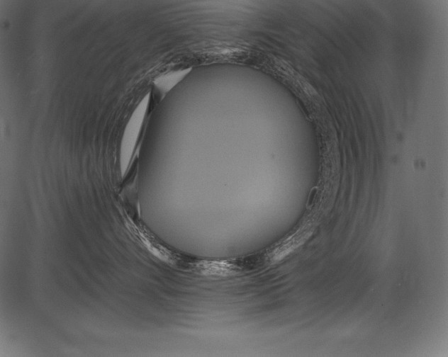 X0000081380528200702020233