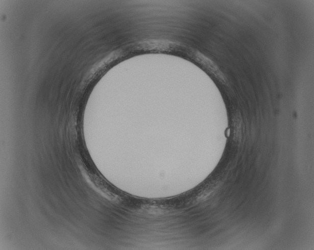X0000081380538200702020232
