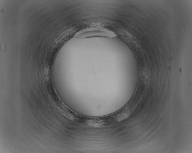 X0000081380556200702020233