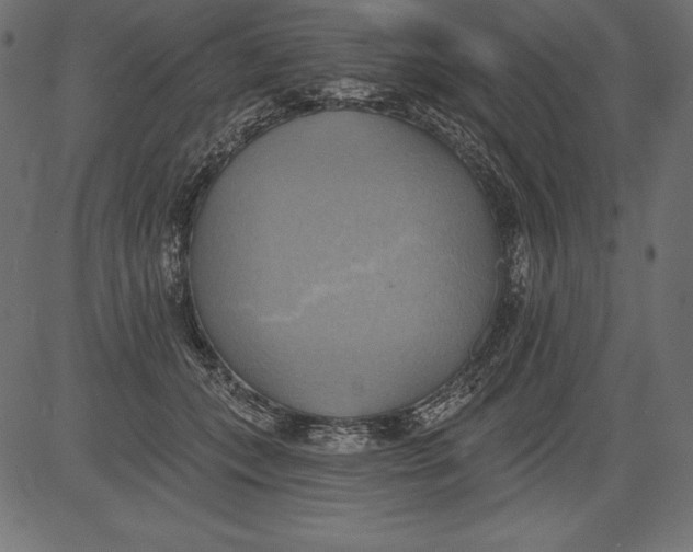 X0000081380559200702020233
