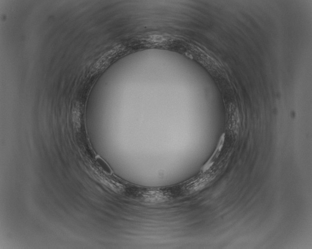 X0000081380562200702020233