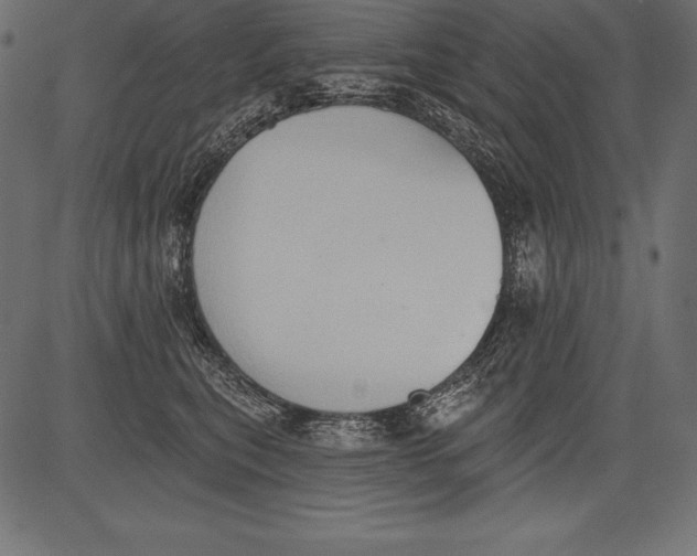 X0000081380567200702020233