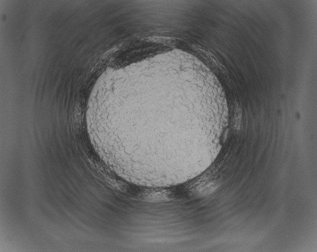 X0000081380569200702020233