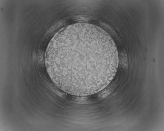 X0000081380573200702020233