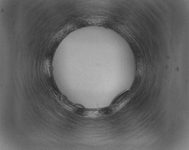 X0000081380575200702020233