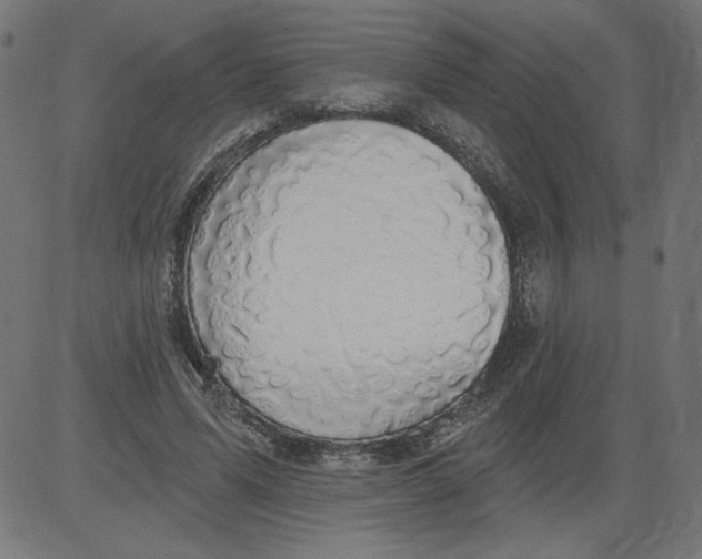X0000081380591200702020232