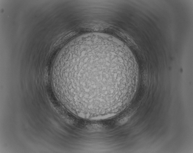 X0000081380594200702020232