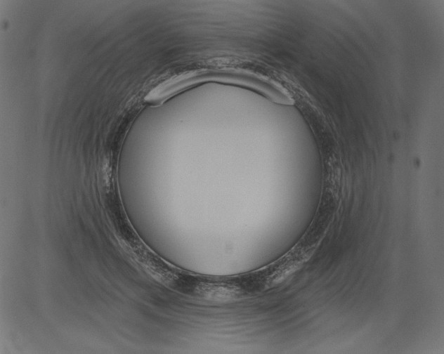 X0000081380597200702020232