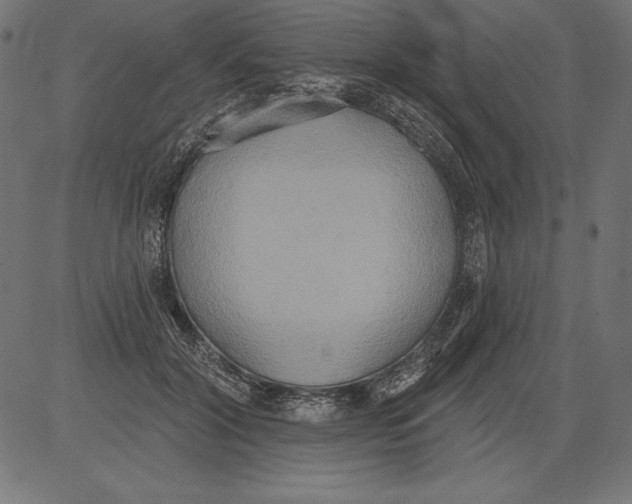 X0000081380604200702020232