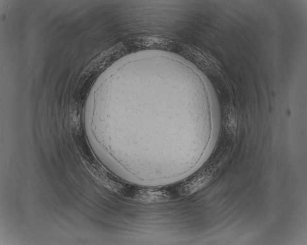 X0000081380607200702020232