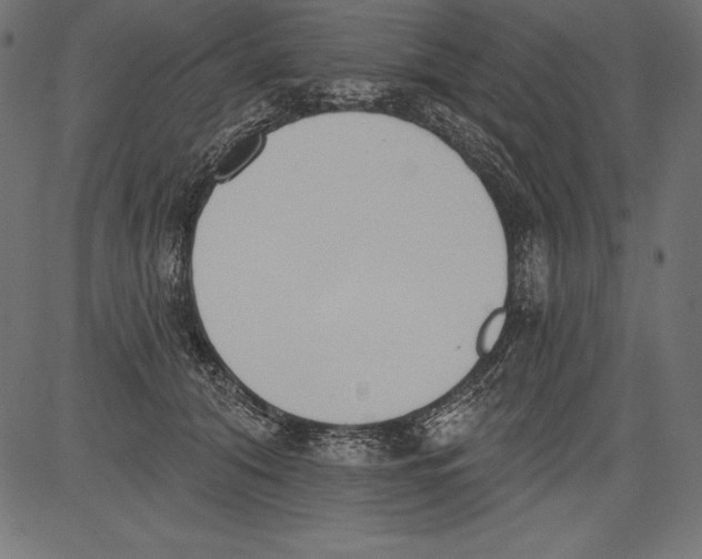 X0000081380608200702020232