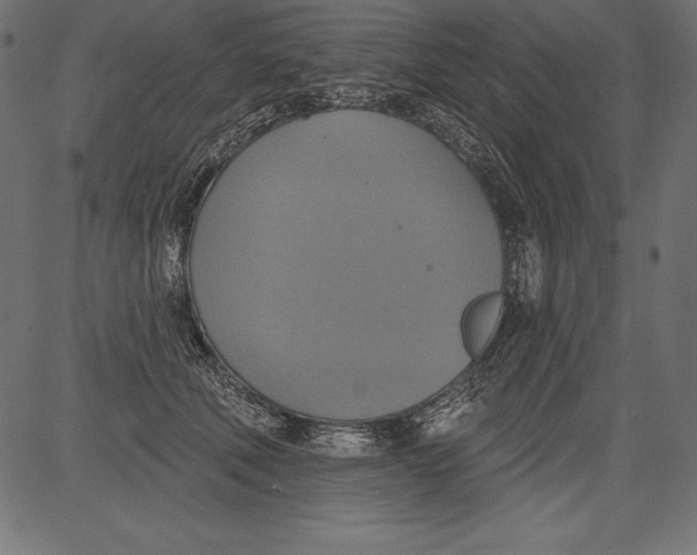 X0000081380610200702020232