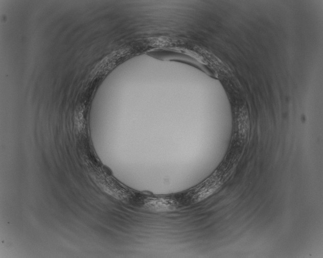 X0000081380611200702020232