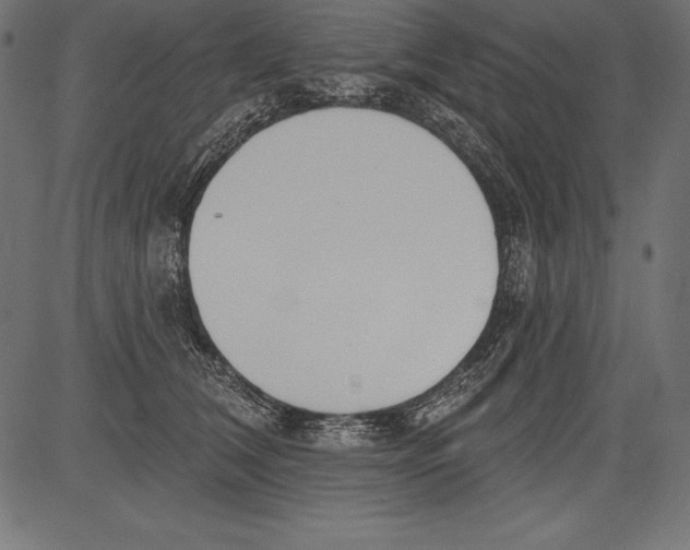 X0000081380612200702020232