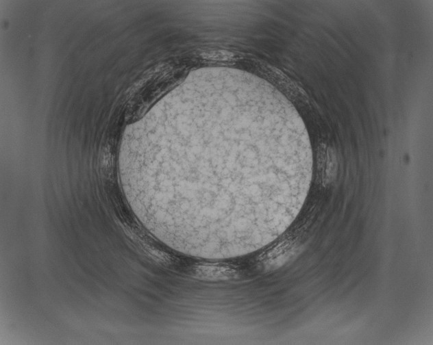 X0000081380614200702020232