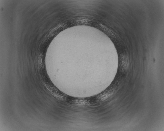 X0000081380615200702020232