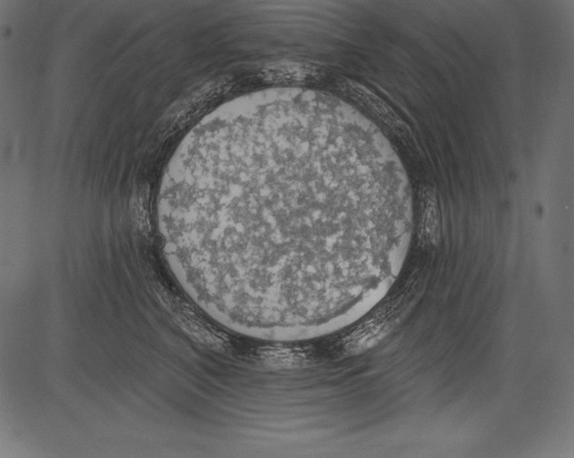 X0000081380616200702020232