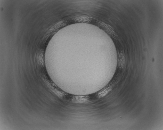 X0000081380622200702020232