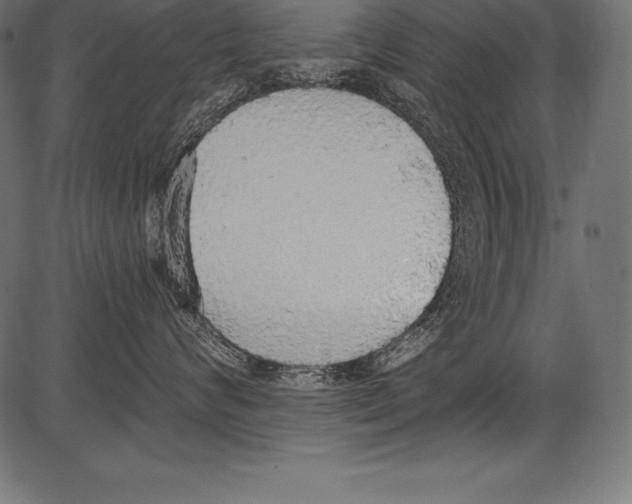 X0000081380624200702020232