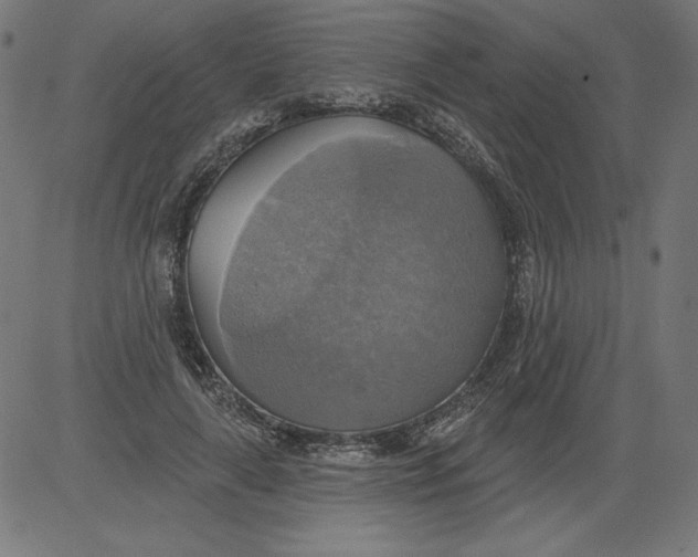 X0000081380643200702020231