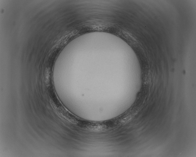 X0000081380646200702020231