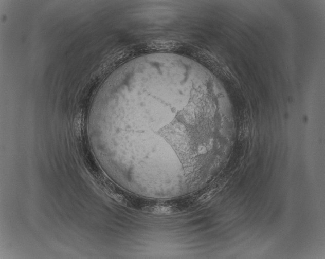 X0000081380647200702020231
