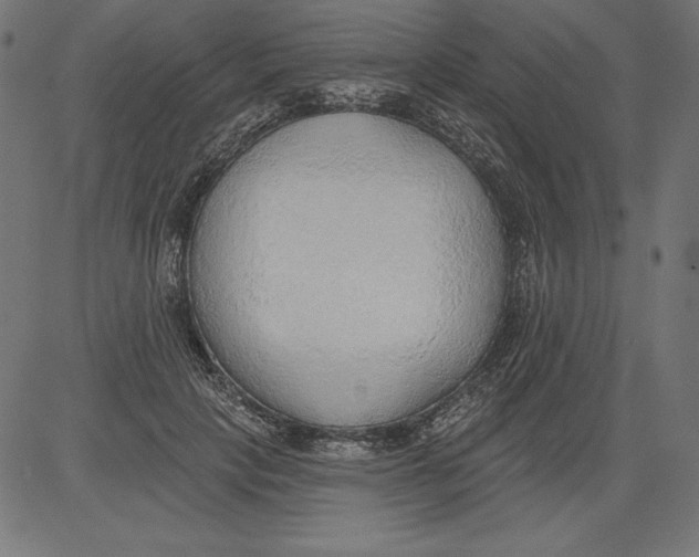 X0000081380649200702020231