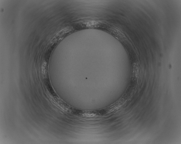 X0000081380650200702020231