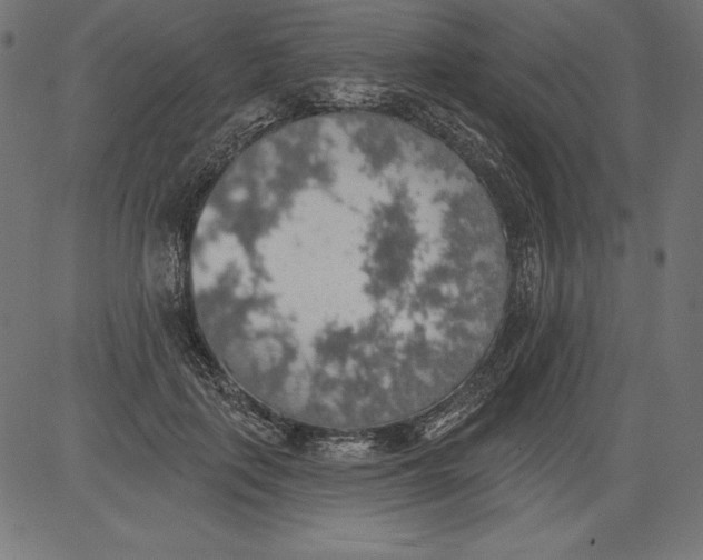X0000081380651200702020231