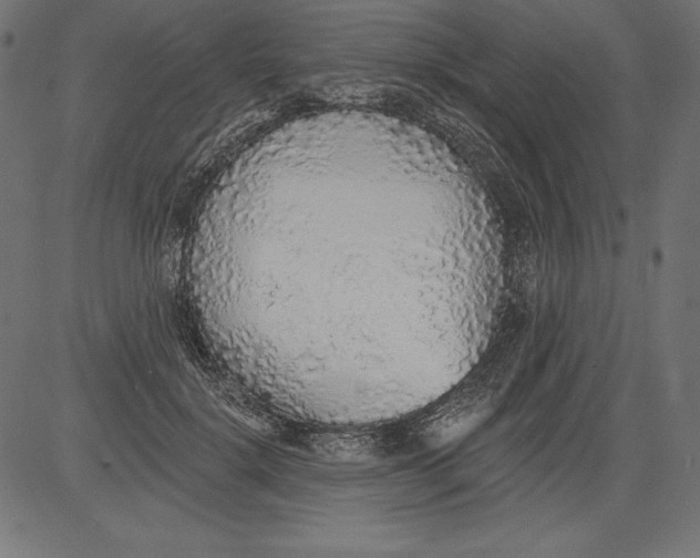 X0000081380652200702020231