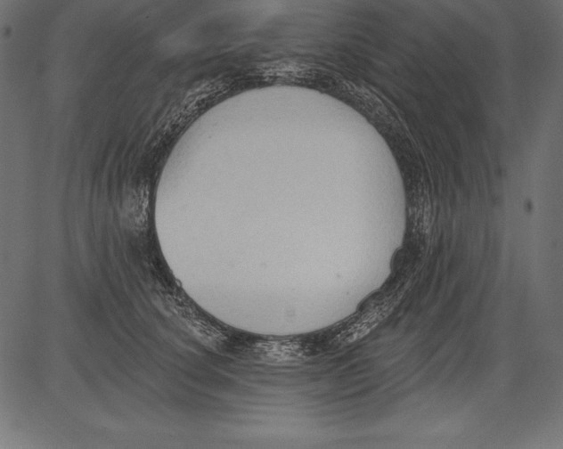 X0000081380660200702020231
