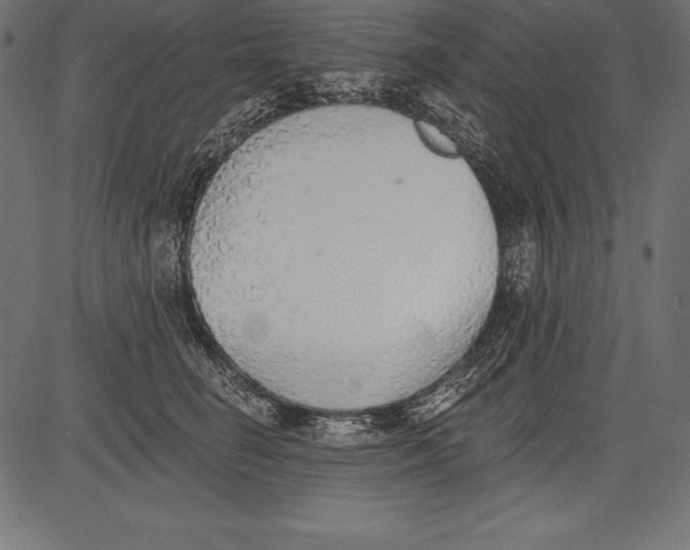 X0000081380662200702020231