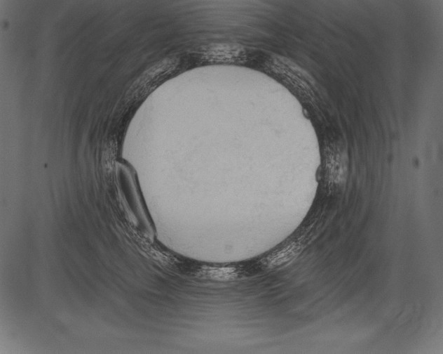 X0000081380665200702020231