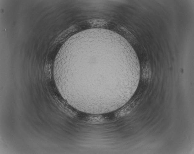 X0000081380666200702020231