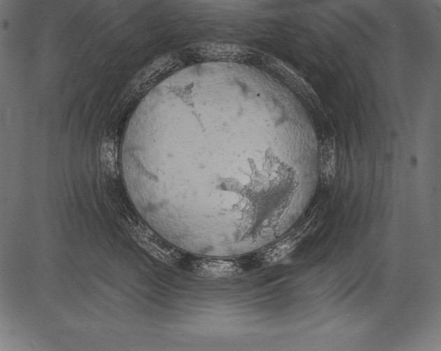 X0000081380669200702020231