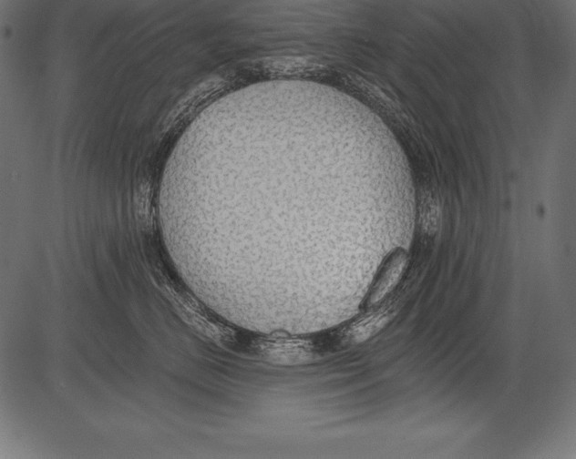 X0000081380670200702020232