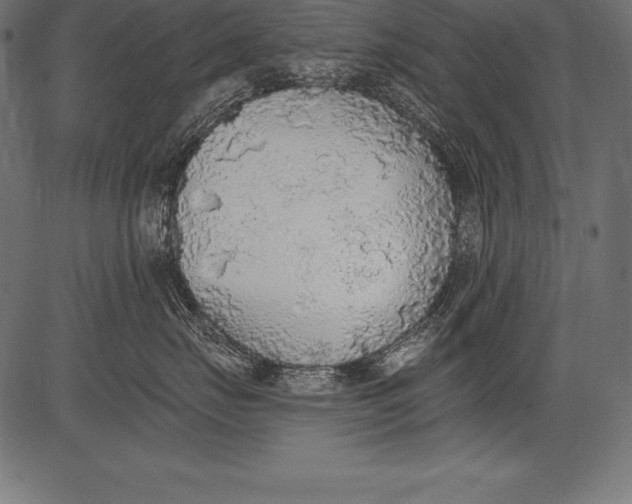 X0000081380671200702020232