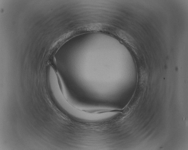 X0000081380681200702020231
