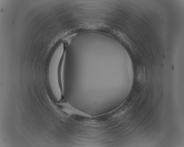 X0000081380685200702020231