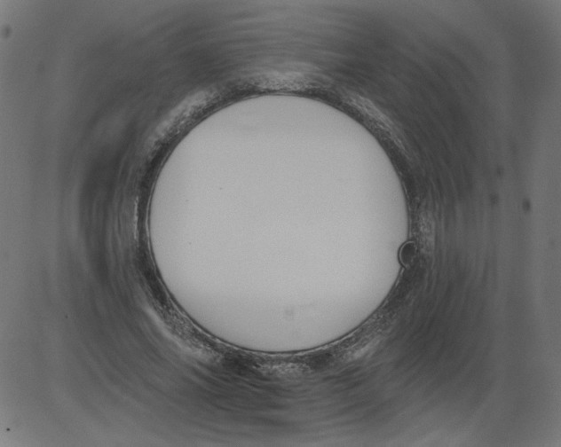 X0000081380686200702020231
