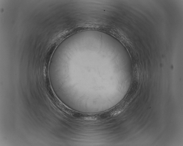 X0000081380692200702020230