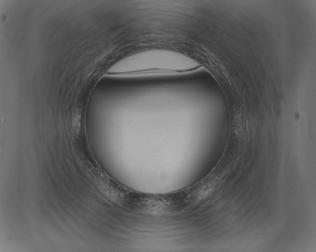 X0000081380697200702020230