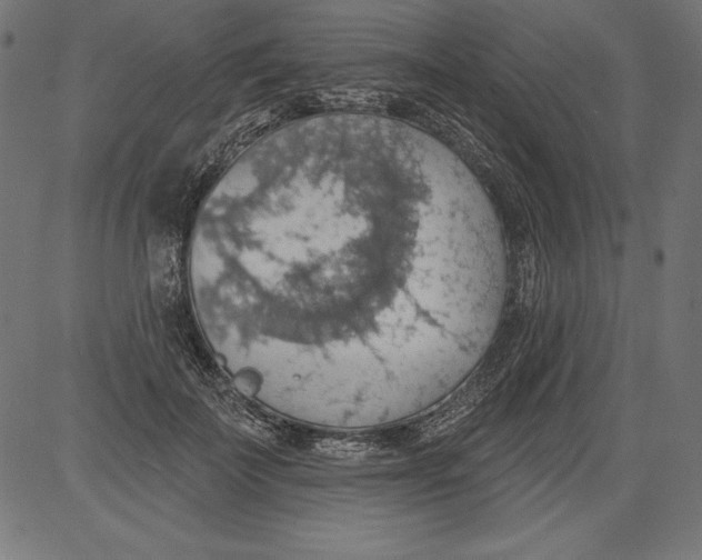 X0000081380699200702020230